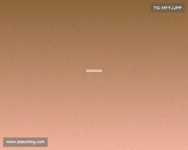 突尼斯这个国家怎么样